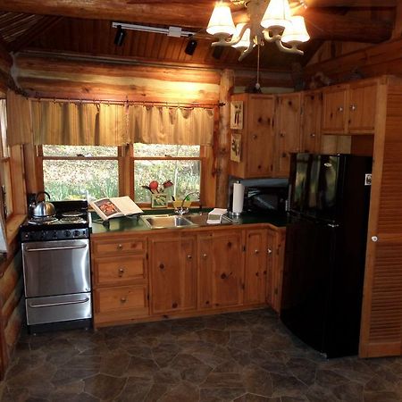 尤里卡斯普林斯Lake Lucerne Treehouse别墅 外观 照片